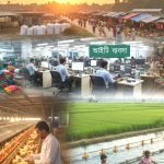 বাংলাদেশের লাভজনক ১০ টি ব্যবসা